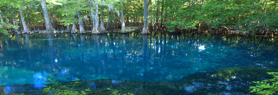 manatee tour snorkel